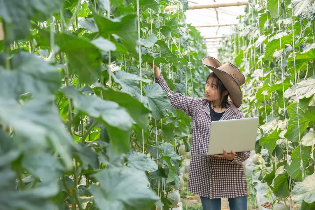 四川建筑企业人力资源外包与劳务派遣服务模式对比分析