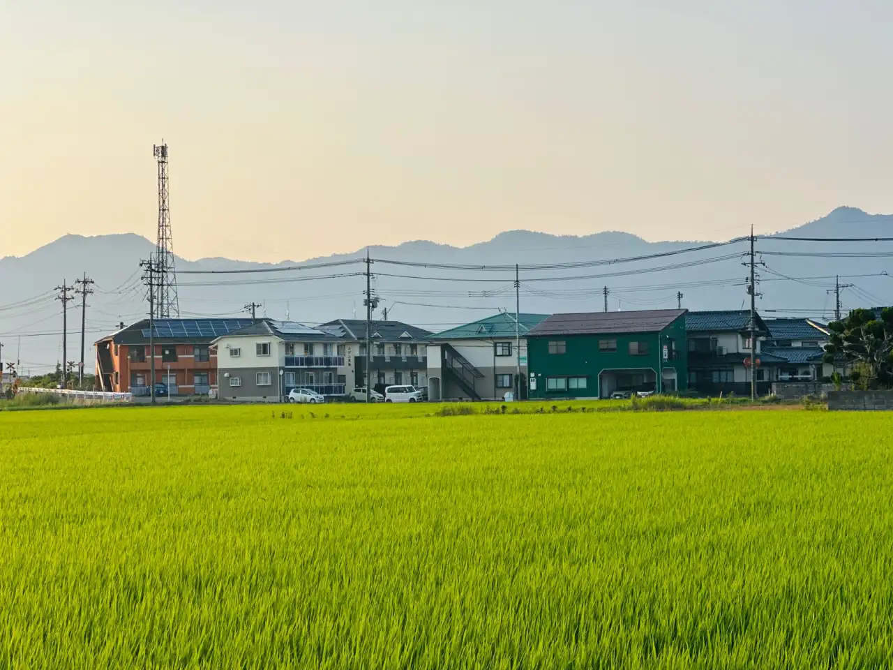四川建筑企业劳务派遣用工方案设计与服务优势分析